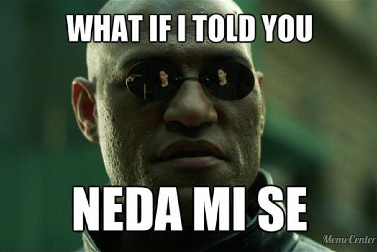 vlada
