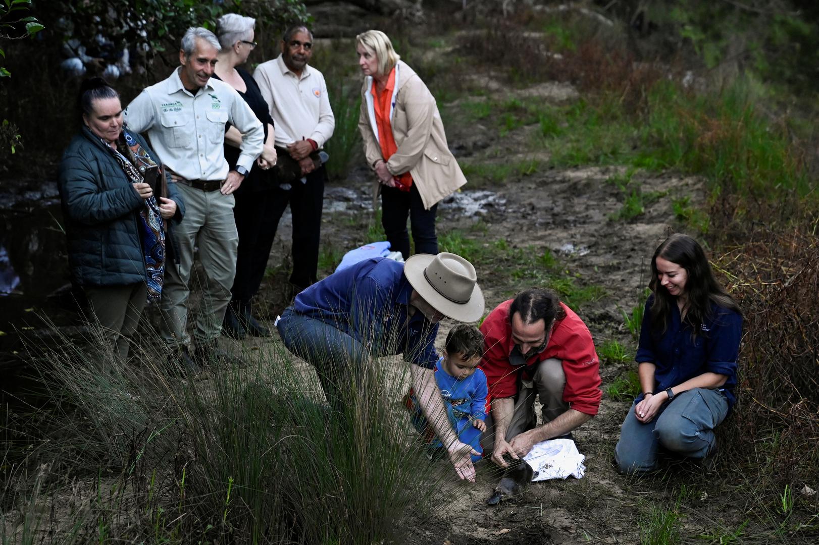 Scientists Dr Gilad Bino, Dr Tahneal Hawke, Prof Richard Kingsford of University of NSW and other representatives of New South Wales Parks, WWF and Taronga Zoo release a platypus back into Sydney’s Royal National Park for the first time in over fifty years, in Sydney, Australia, May 12, 2023.  REUTERS/Jaimi Joy Photo: JAIMI JOY/REUTERS
