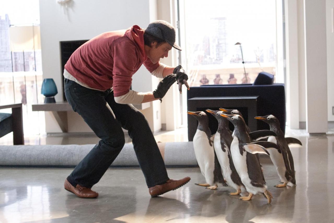 'MR POPPERS PENGUINS'