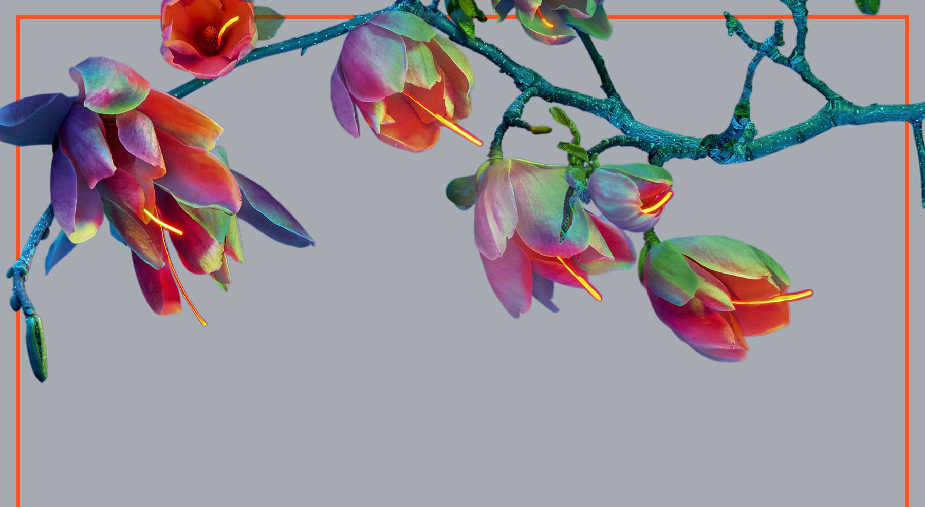 Festival svjetla Zagreb