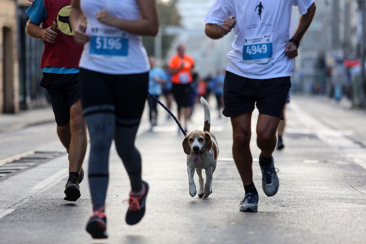 Veseli pas trčao s gazdom 28. Zagrebački maraton