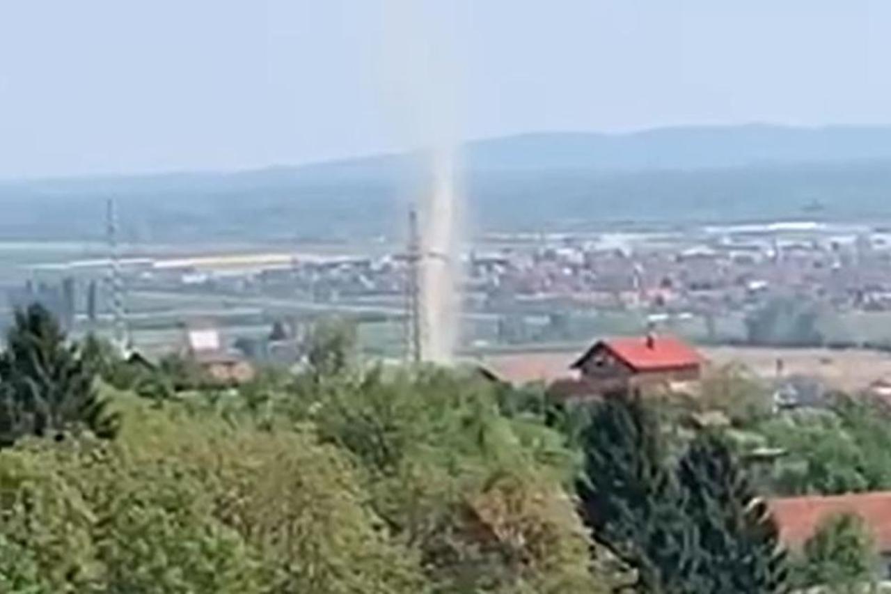 pijavica