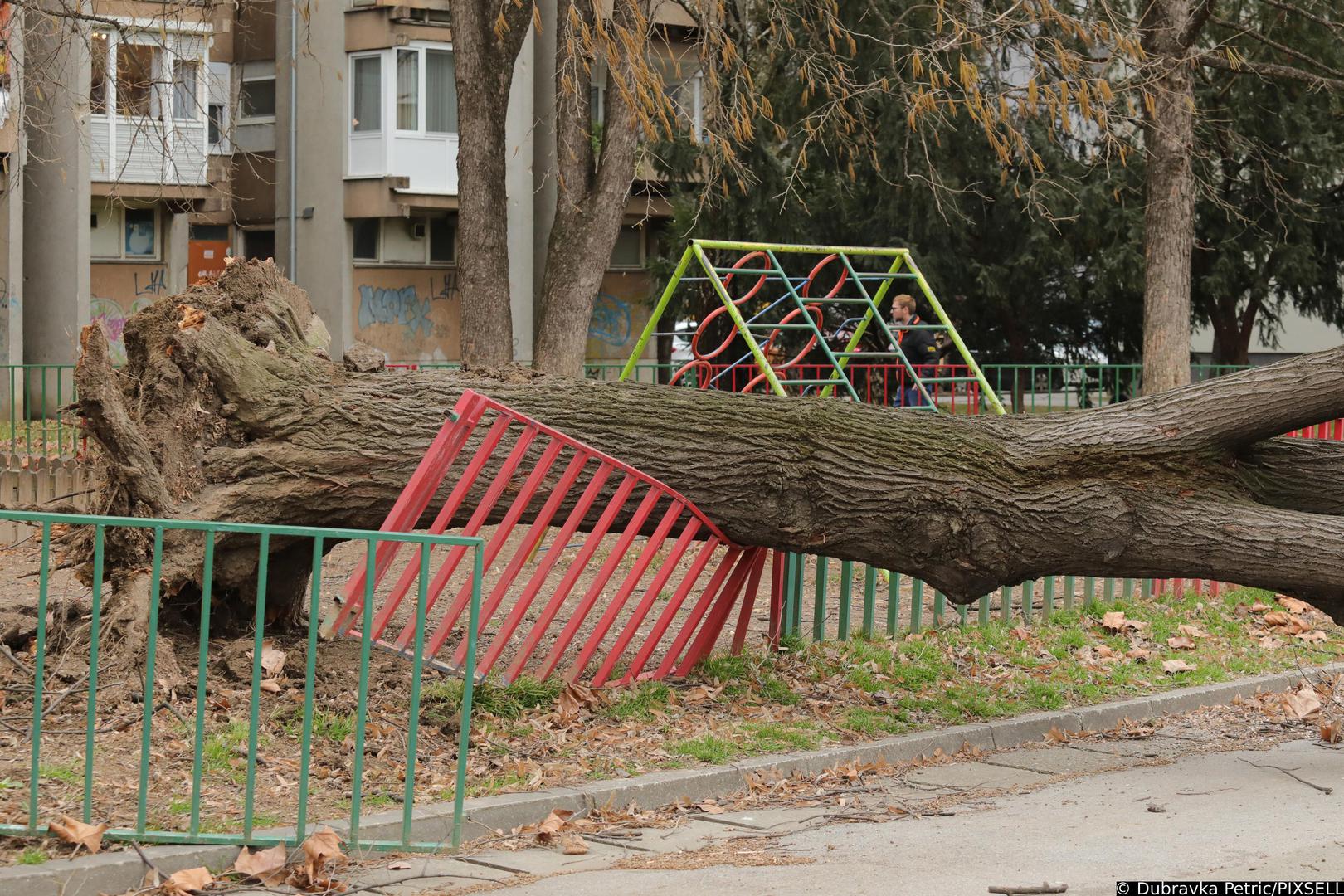 04.02.2023., Osijek - Olujni vjetar jutros je zahvatio osjecko podrucje i prouzrocio znatnu stetu. Centar 112 zaprimio je vise dojava o srusenim stablima, rasvjetnim stupovima ali i odvajanju jednog dijela nadstresnice na Glavnoj trznici. Sluzbe rade na rasciscavanju prometnica i skupljanju  granja te podizanju kanti za smece koje su se prevrtale po kolnicima. Photo: Dubravka Petric/PIXSELL