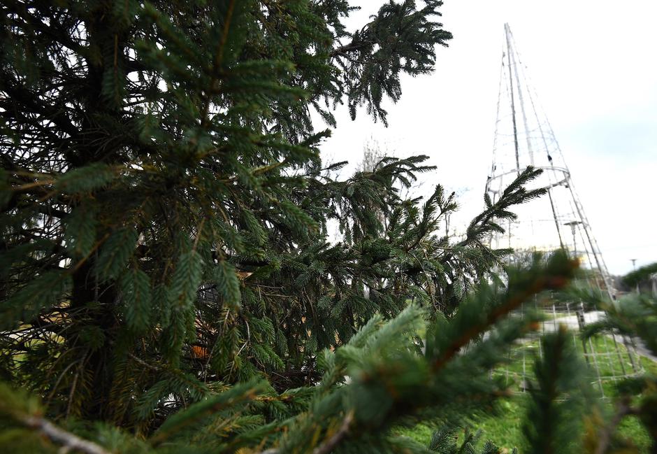 Zagreb: Postavljen bor na križanju Selske i Zagorske