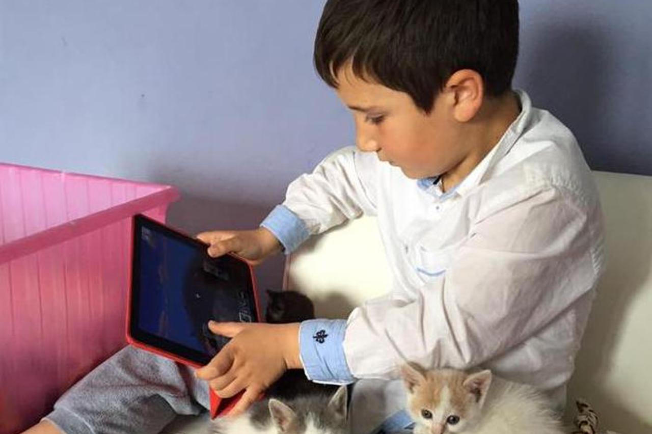 Rođendan uz hranu za životinje