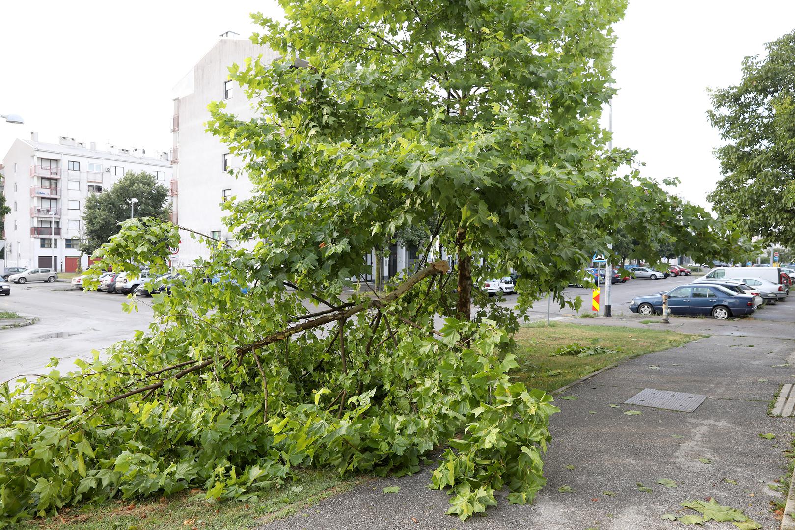 20.07.2023., Zagreb - Posljedice oluje koja je jucer poharala Zagreb i veliki dio Hrvatske i danas se vide na ulicam grada. Sve sluzbe nastavljaju raditi na rasciscavanju. Photo: Patrik Macek/PIXSELL
