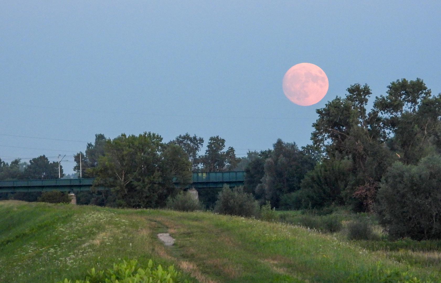 31.07.2023., Zagreb - Puni mjesec u Zagrebu. Photo: Matija Habljak/PIXSELL