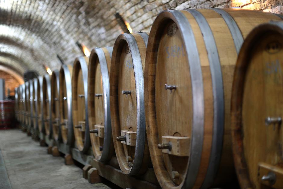 Baranjska vina pravljena nježnim ženskim rukama