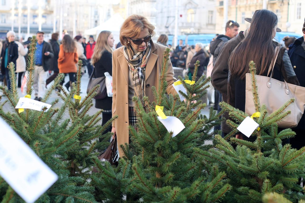 20.12.2014., Zagreb - Na Trgu bana Josipa Jelacica odrzana je prodaja bozicnih drvaca u sklopu Bozicne akcije za 1000 radosti, koju 12. godinu zaredom organizira Hrvatsku Caritas. Photo: Luka Stanzl/PIXSELL