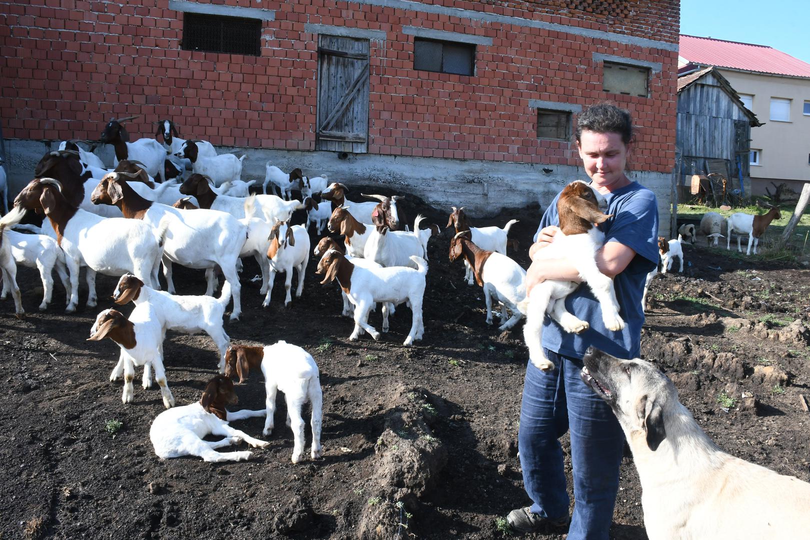 20.07.2023.,Bestrma - Izbor za najbolji OPG - Zlata vrijedan. OPG Anita Zrnic. Obitelj Zrnic - otac Sandro, majka Anita, kcerke Ela i Franka. Photo: Nikola Cutuk/PIXSELL