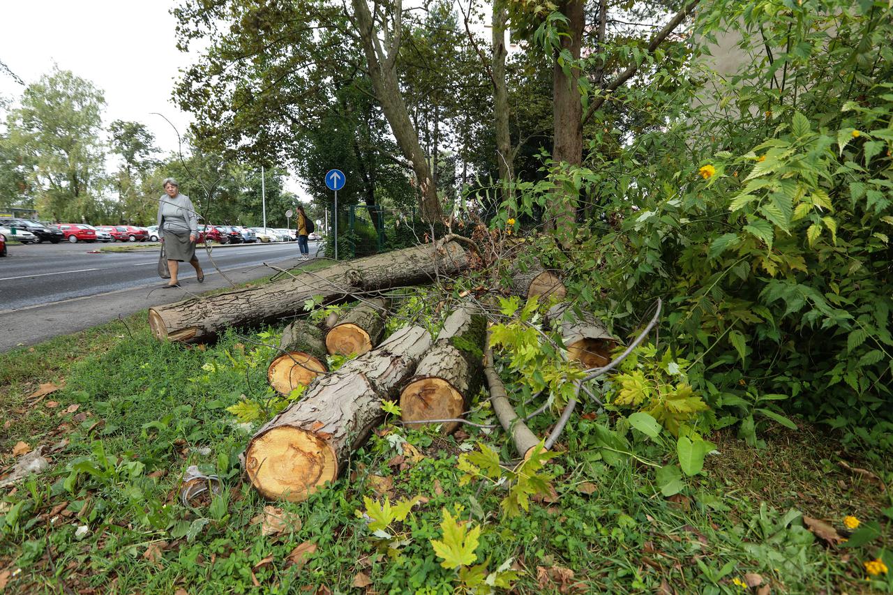 Zagreb: Inspekcija (ne)zapuštenog grada, Stenjevec