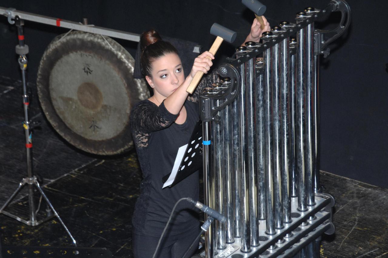 Festival u Bjelovaru