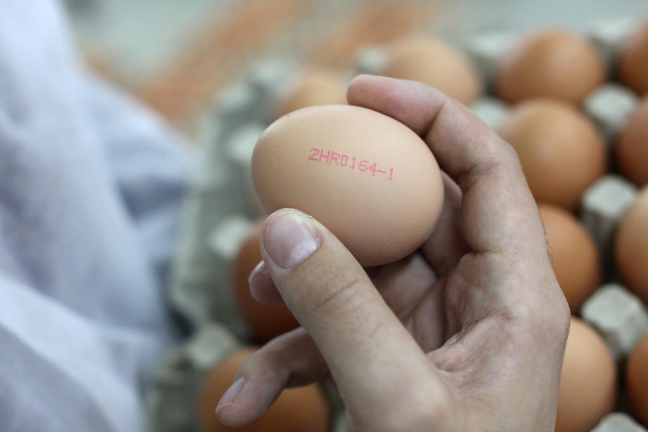 Vrbovec: Pogon mesne industrije PIK Vrbovec