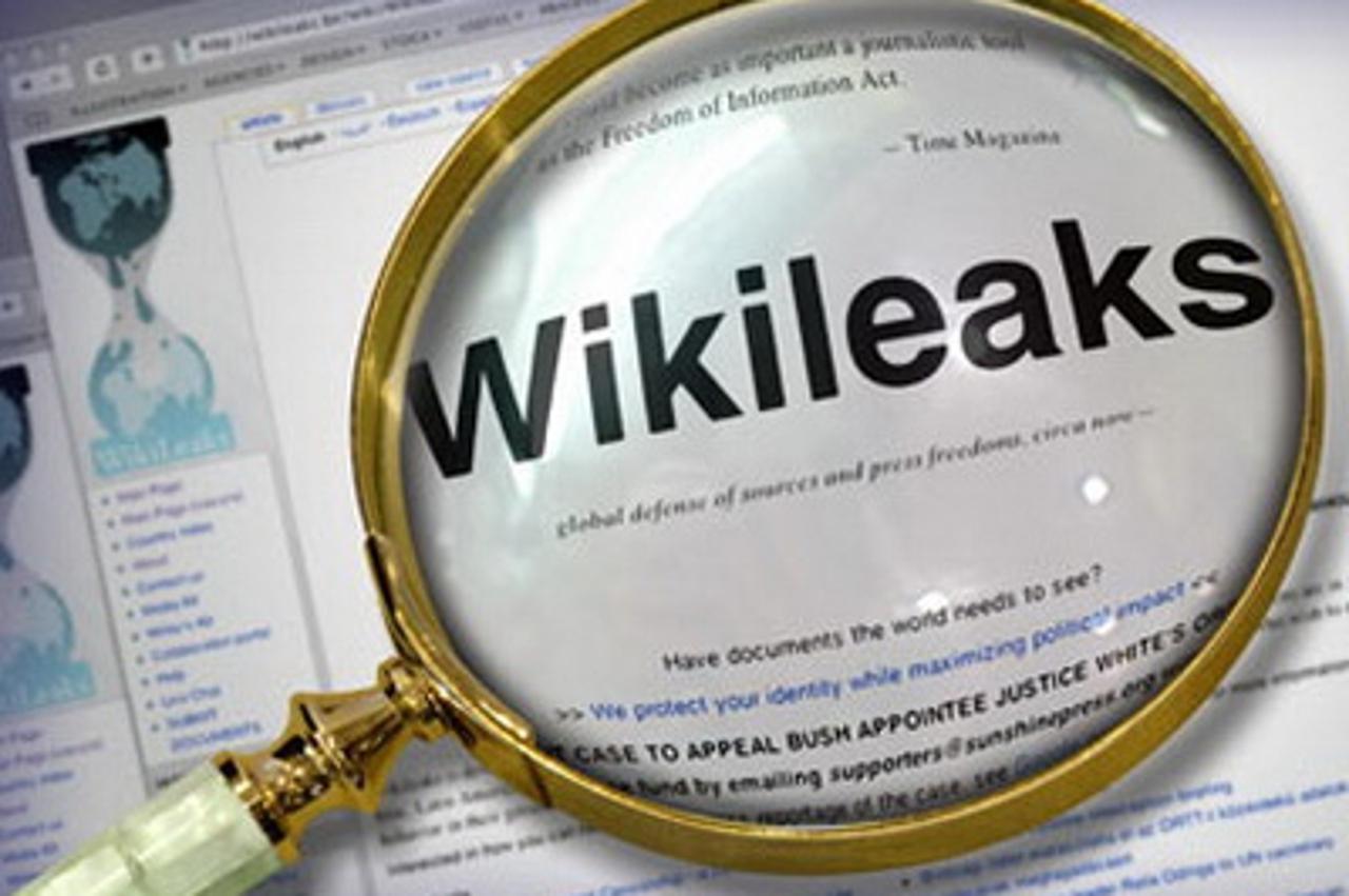'wikileaks-lupa'