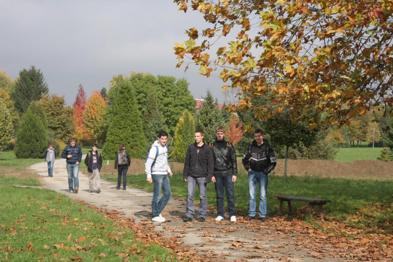 arboretum01_krs_221010