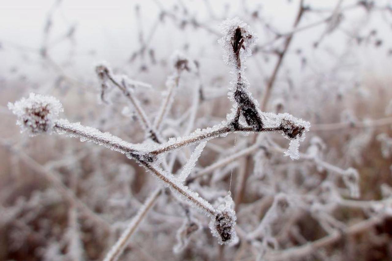 Mraz i magla u Zagrebu (1)