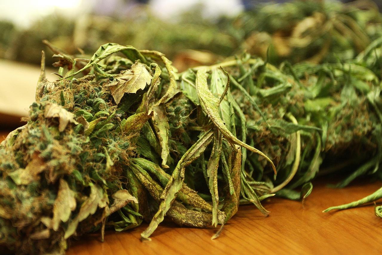 marihuana