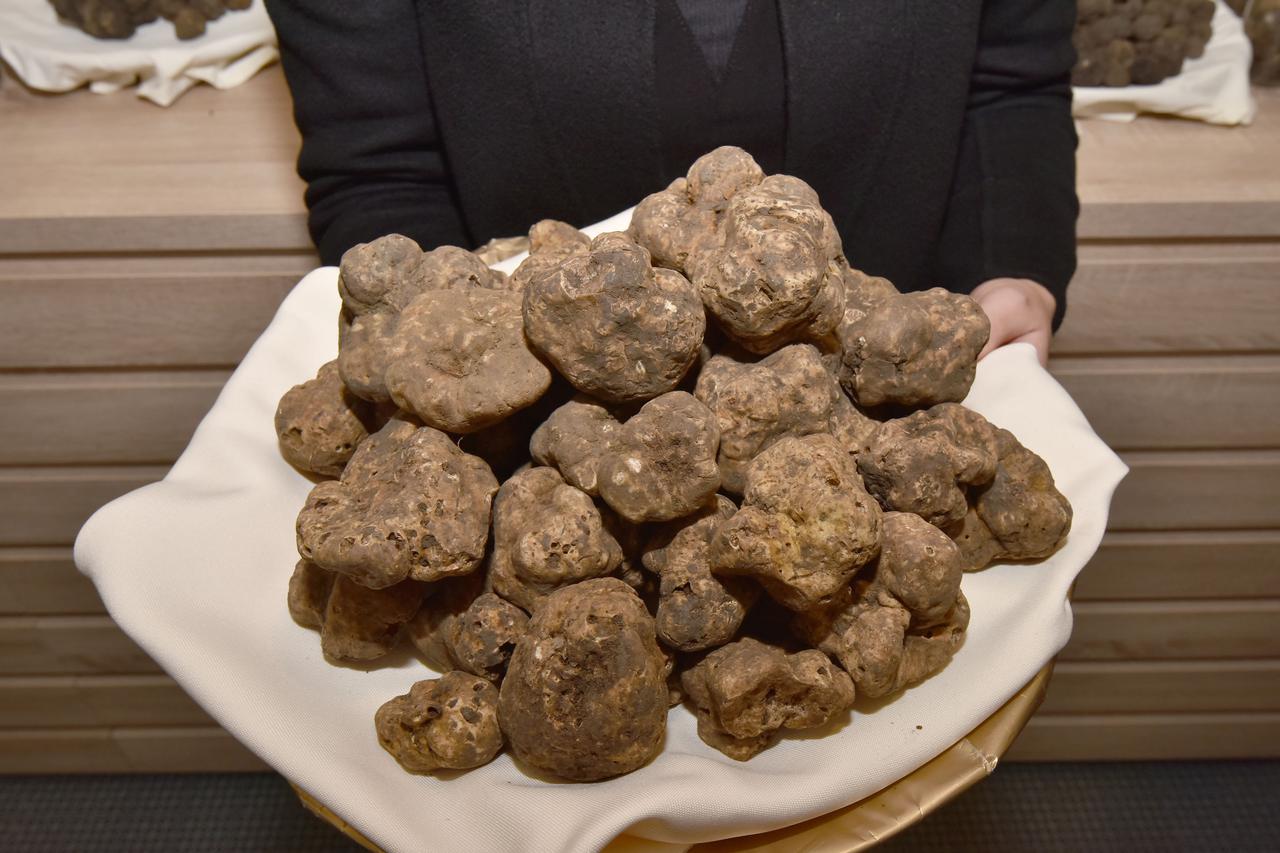 Tartufi