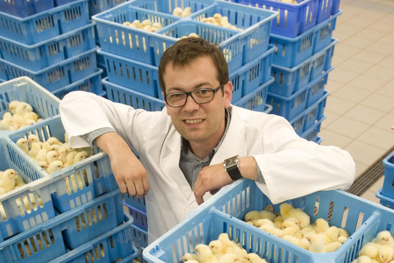 26.05.2014., Sesvete - Tvrtka Valipile bavi se proizvodnjom jednodnevne peradi iz rasplodnih jaja dobivenih iz vlastitih roditeljskih jata peradi. Izvrsni direktor Andrej Alilovic. Photo: