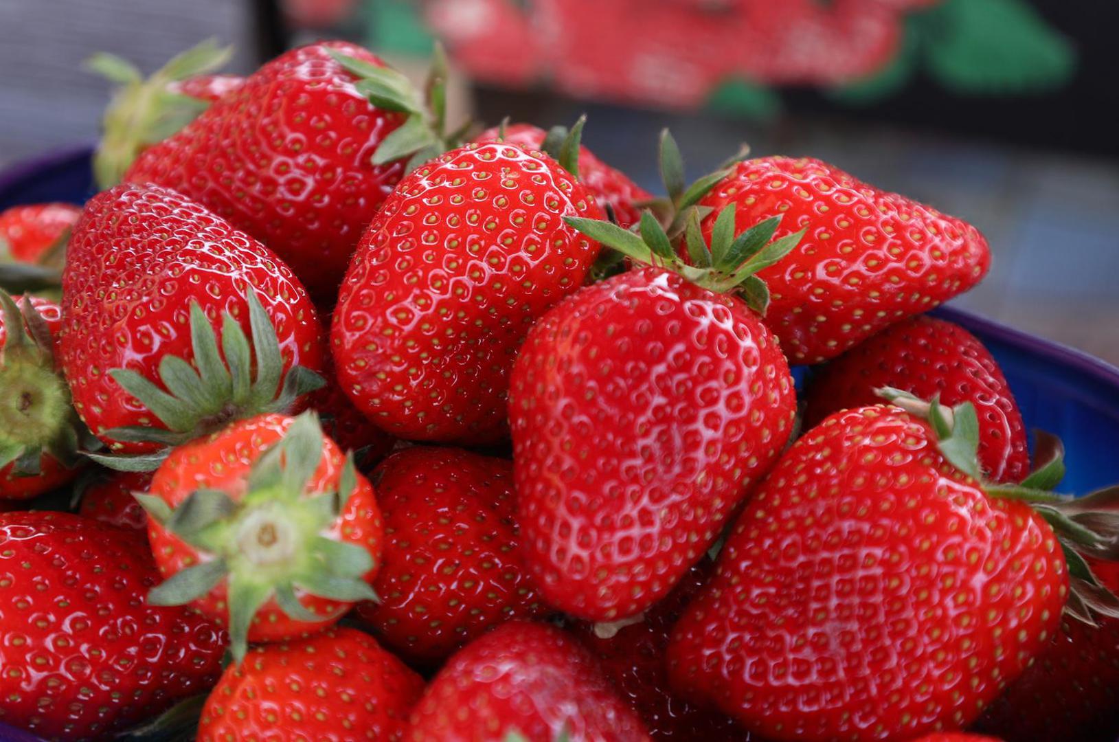 Uz malo znanja i pažnje, čak i zakasnjelom sadnjom možete uzgojiti vlastite, zdrave i ukusne jagode. Bilo da ih sadite prvi put ili već imate razvijene biljke, ovih pet osnovnih koraka pomoći će vam da izvučete maksimum iz svoje vrtne oaze. Jer domaća jagoda nije samo plod – ona je nagrada za vaš trud i ljubav prema prirodi.