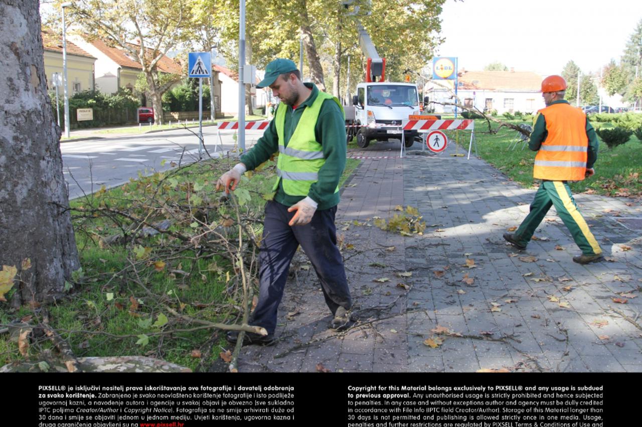 radnici_PXL_kar_121017_1495
