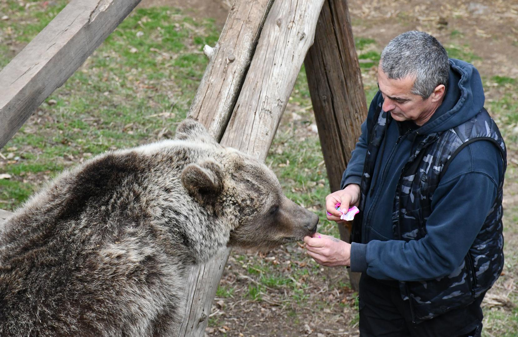 Maša i Ljubica su medvjedice koje vole ljude. Ni jedna neće imati potomke, jer bi to za njih bilo pogubno, njihova je sudbina da cijeli svoj život, a on može biti i pedesetak godina, provedu s čovjekom.