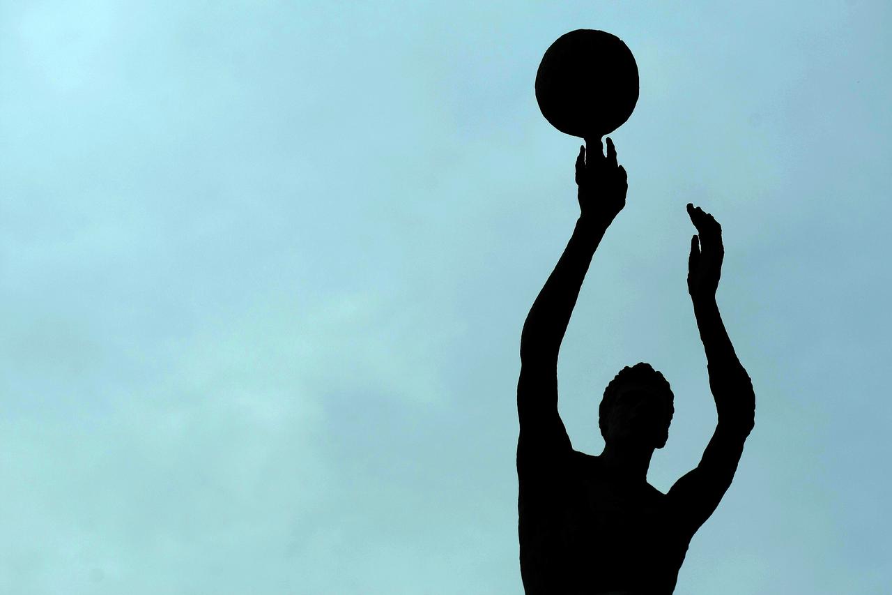 Spomenik Draženu Petroviću