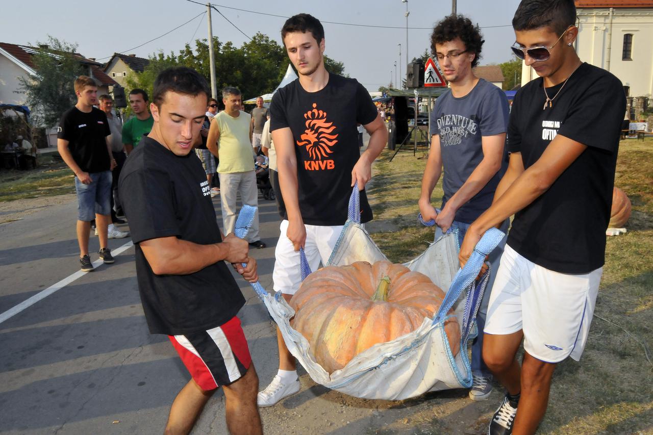 Međunarodni festival tikve