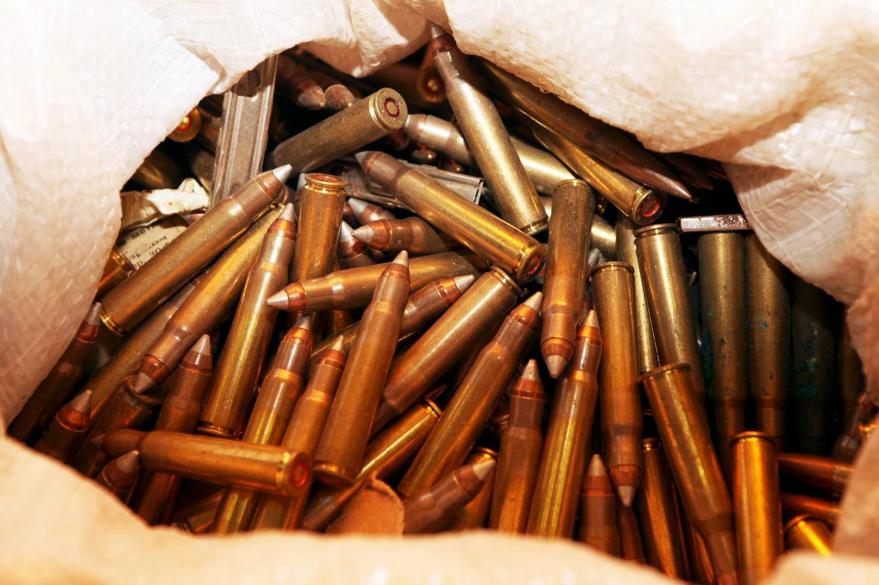 Zapljena droge, oružja, cigareta, duhana, novca, automobila i prepariranih životinja