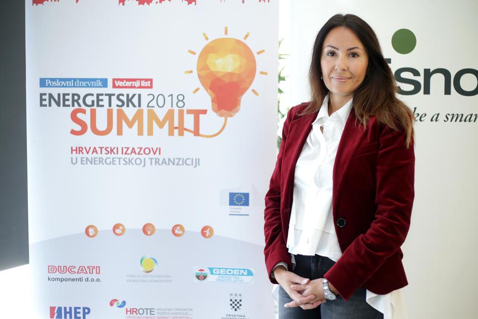 Okrugli stol Elektromobilnost i potencijali domaće industrije