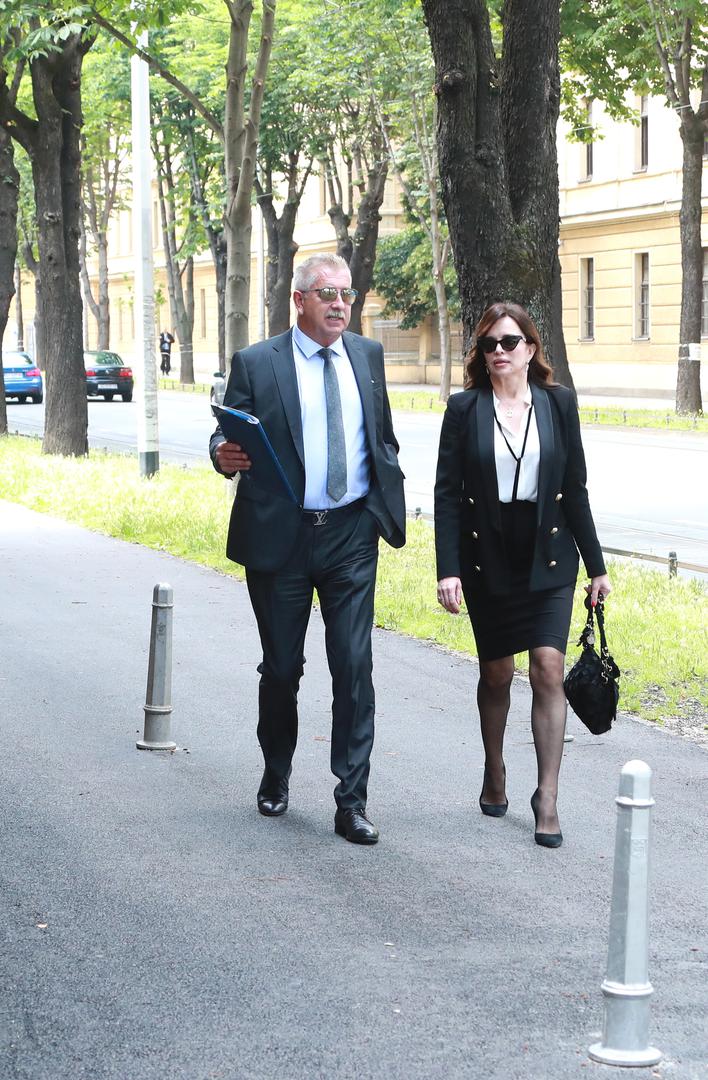  Severinin odvjetnik tvrdio je i da je Popović postavljao lažne medicinske dijagnoze djetetu i koje je potkrijepio lažnim medicinskim nalazima. U nizu navoda, stoji i da je Milan naručio ilegalno praćenje Severine i njihovog zajedničkog sina.