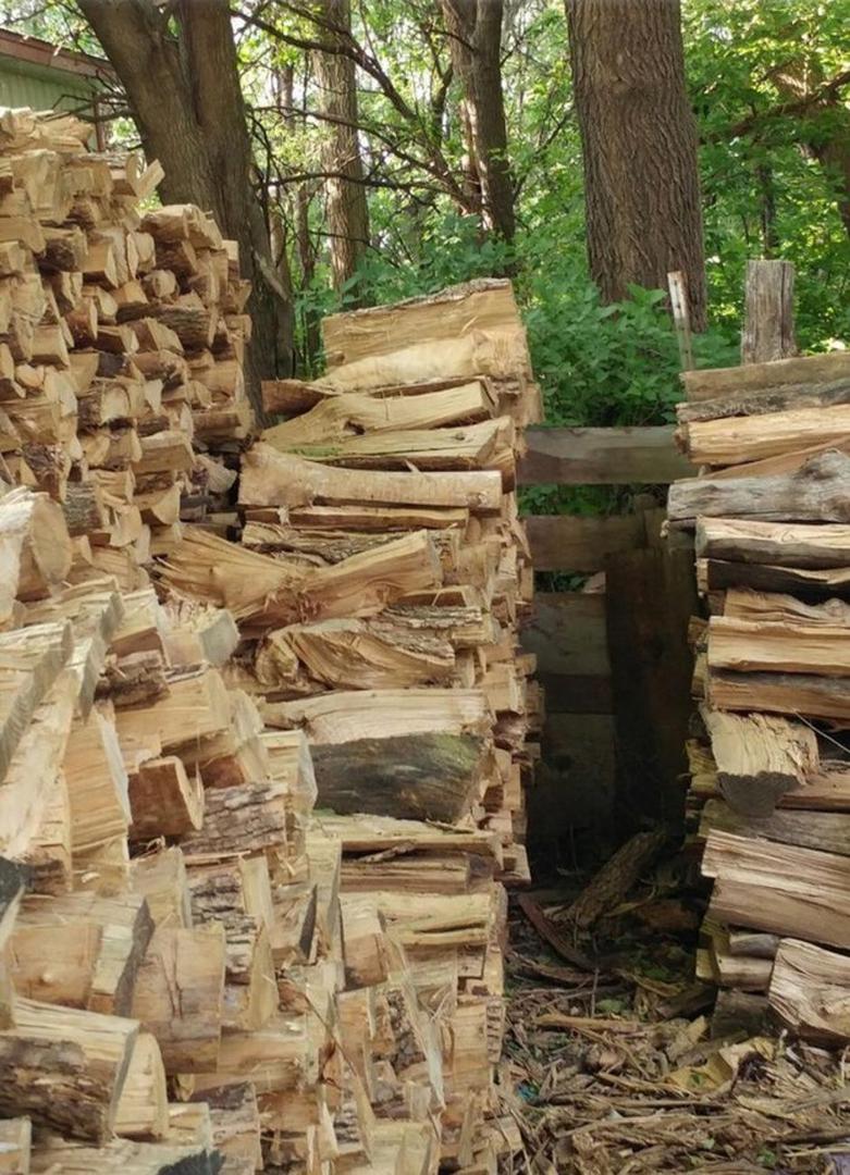 Jedna od fotografija koja se bila proširila internetom skrivala je zanimljiv detalj – mačku koja leži na drvima. Jedini problem jest što je mačka iste boje kao drva pa ju je teško uočiti. Vidite li mačku na fotografiji?
