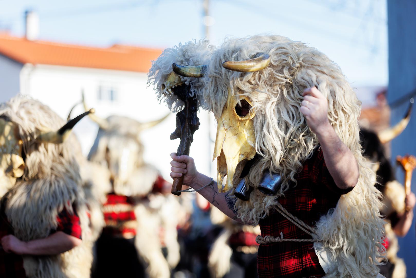 Inače, iz turističke zajednice Čavle objašnjavaju kako dondolaši, koji su naziv dobili po zvonima - dondolama - koje nose, uvijek hodaju u paru, a u povorci slijede zastavu koju nosi jedan od najstarijih članova. 