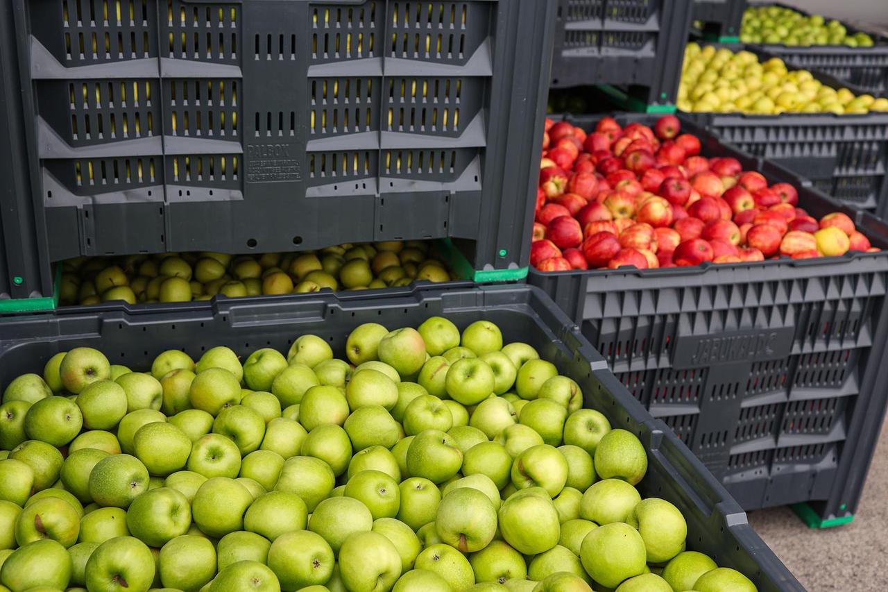Križ: Svečano otvorenje Logističko-distributivnog centra za voće Jabuka LDC d.o.o.