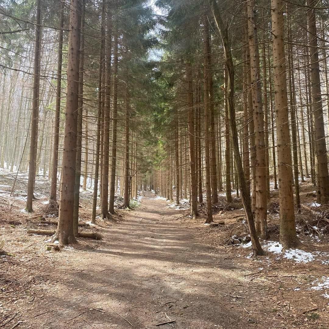 Staza do Japetića među posjećenijima je, a počinje kod izletišta Šoićeva kuća, koje trenutno ne radi