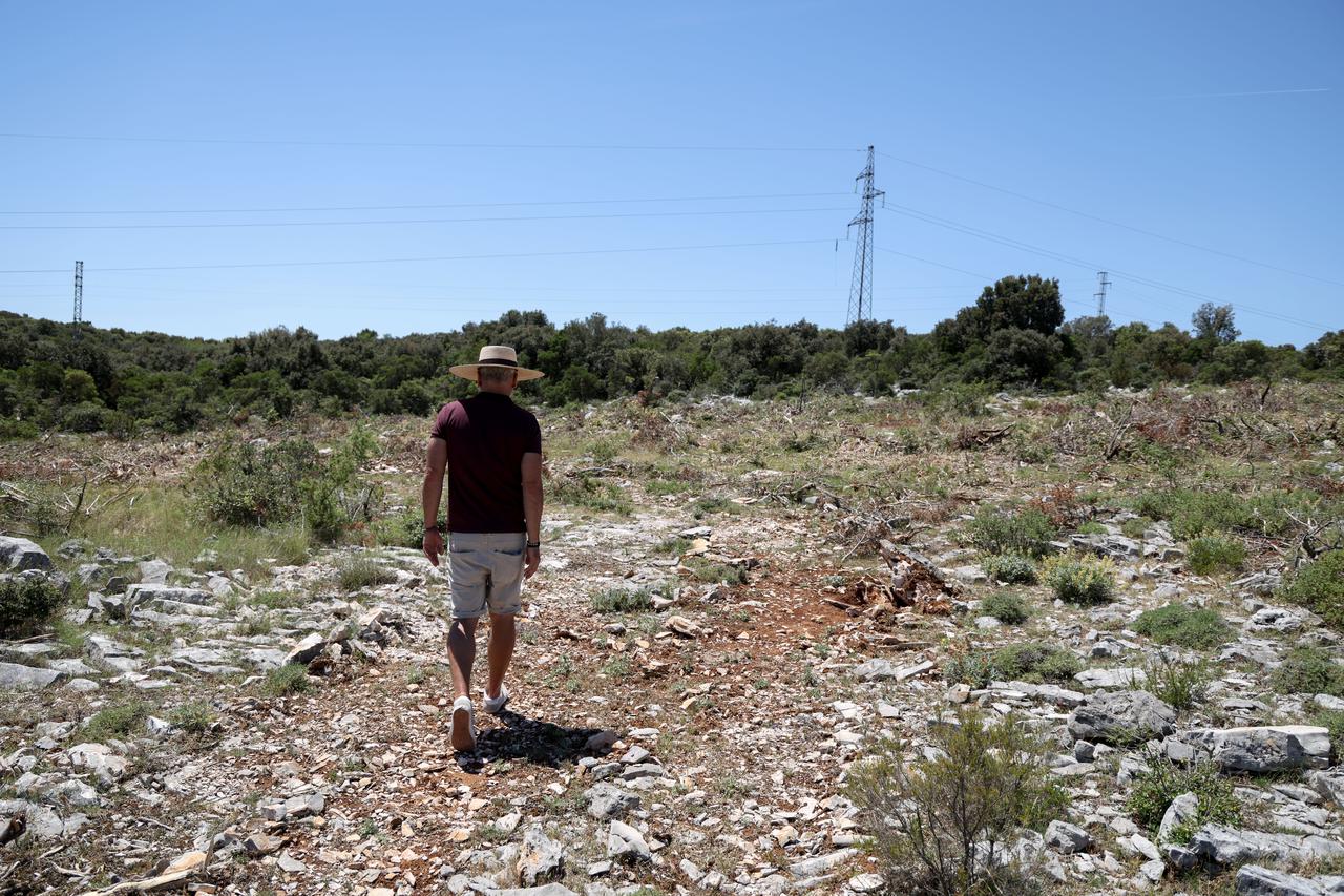 Korčula: Devastacija šume na području Natura 2000