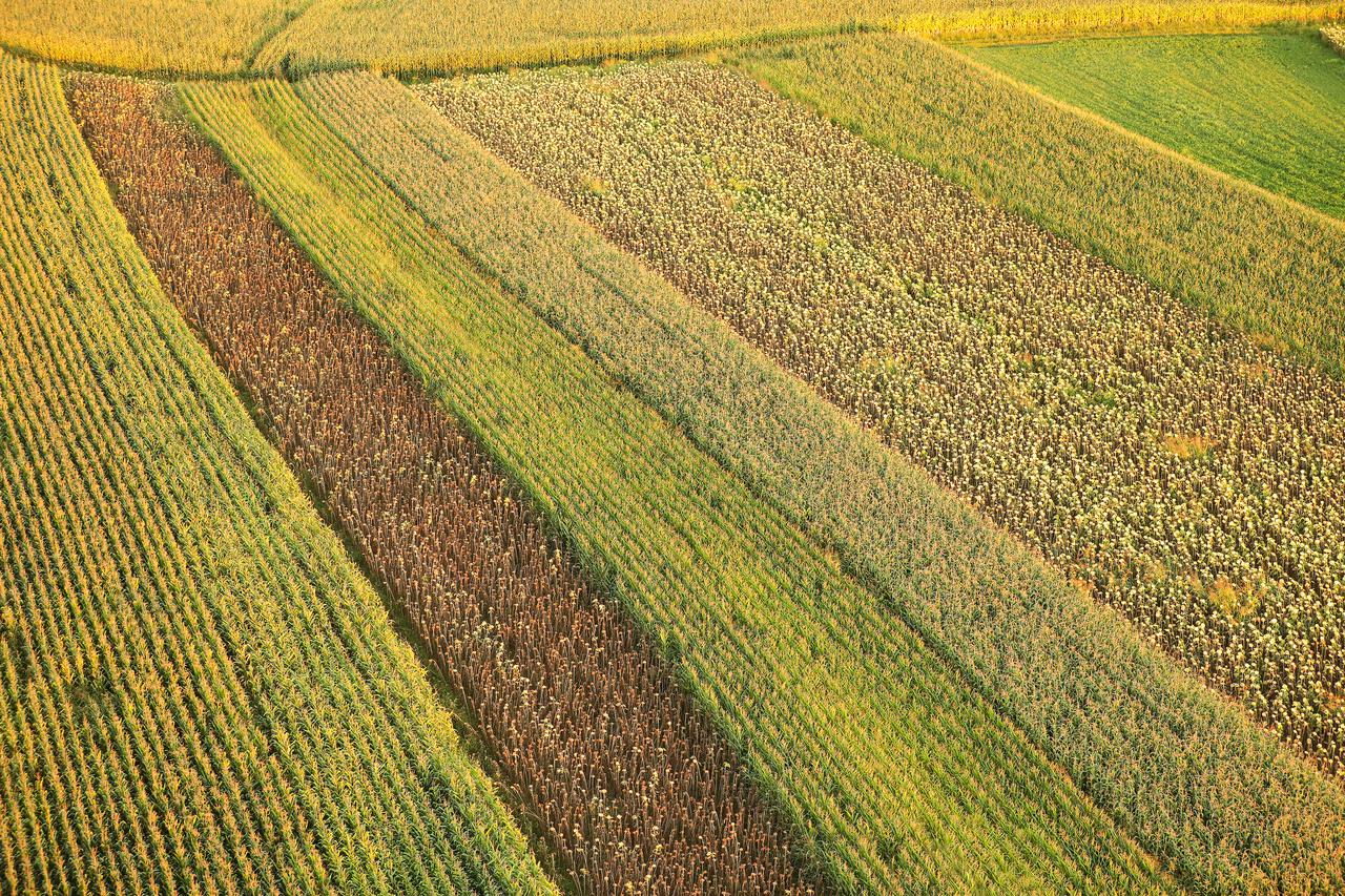 Poljoprivredna zemljišta u Prelogu