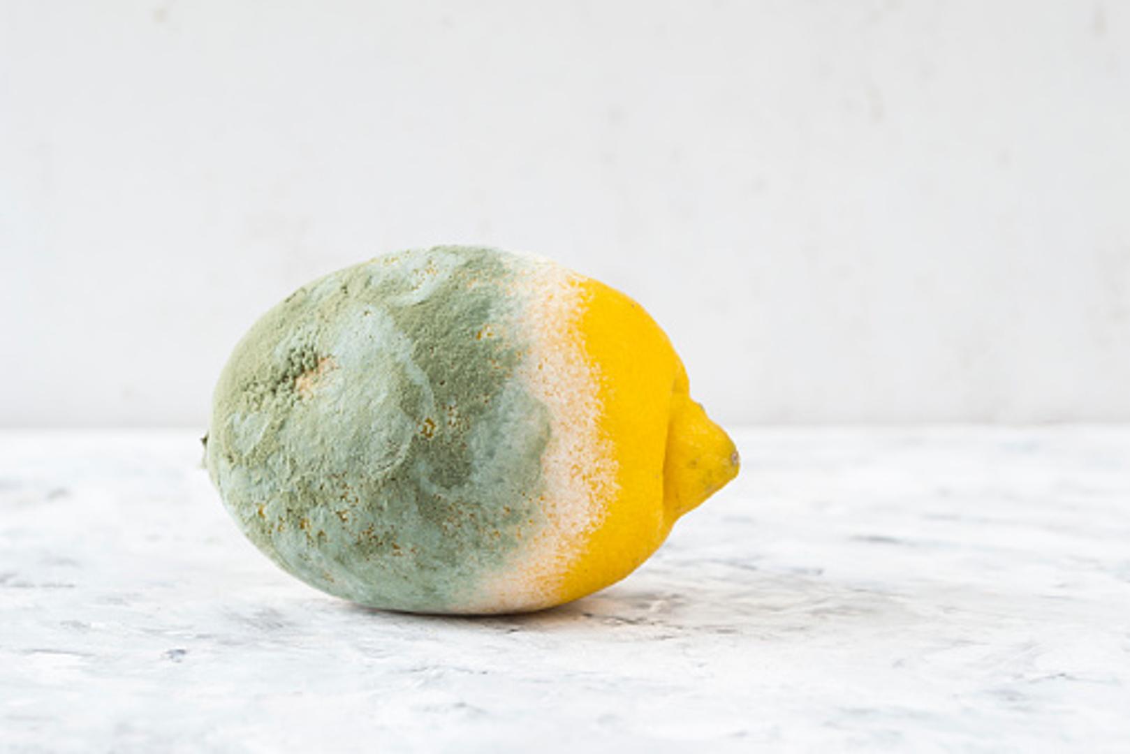 Možda mislite kako sve ima svoj rok trajanja, ali neke namirnice jednostavno mogu potrajati stvarno dugo, evo koje su to.