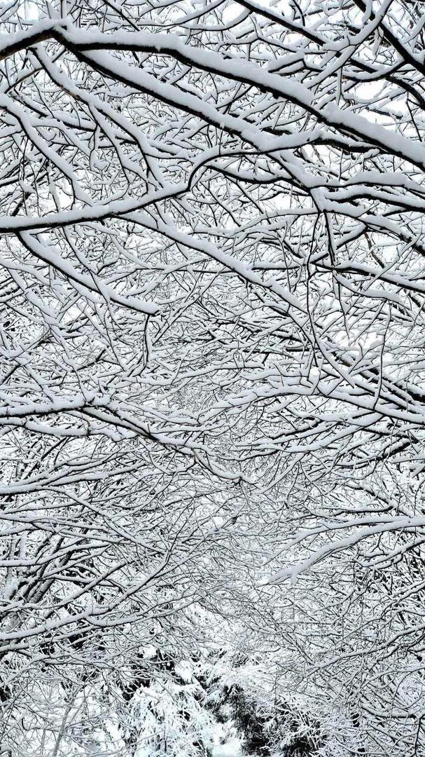 Na Puntijarki se snježni pokrivač već formirao i debljine je 17 centimetara, a najviše ga ima na Zavižanu, čak 32 cm. 