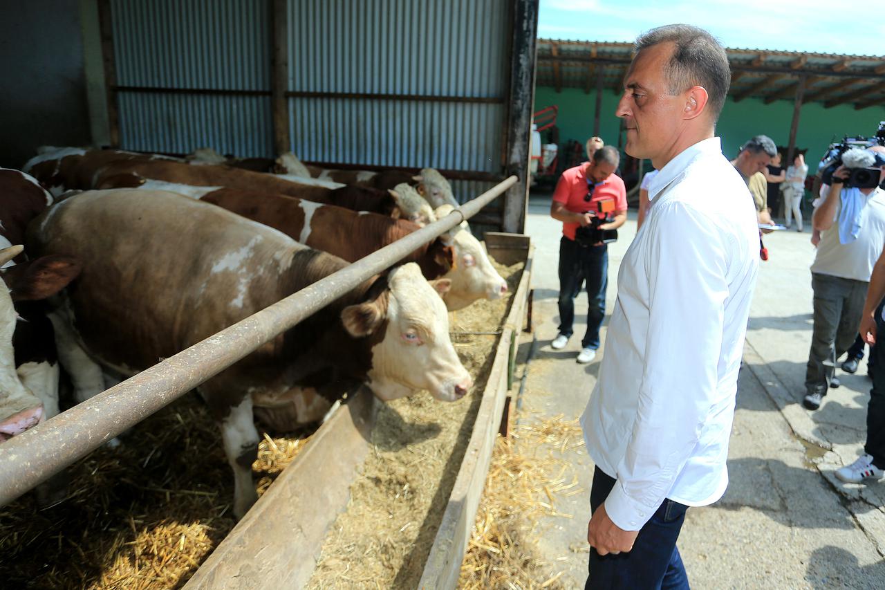 25.07.2014., Cerna - Premijer Zoran Milanovic i ministar poljoprivrede Tihomir Jakovina obisli vise poljoprivrednih gospodarstava u Slavoniji. 