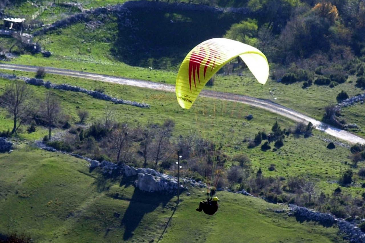 paraglider
