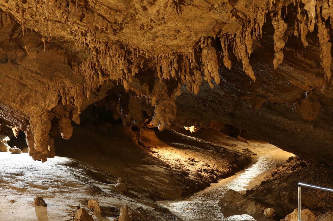 Špilja Vrelo ove godine slavi 70 godina od otkrića