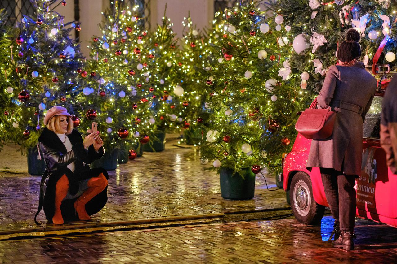 Zagreb: Bor na Trgu Svetog Marka 