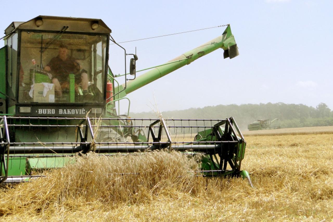 'podravina - 130710-slatina - hrvatska -zetva psenice na poljima tvrtke \'Josavac\' slatina  snimio Dragutin Santosi/vecernji list                         '