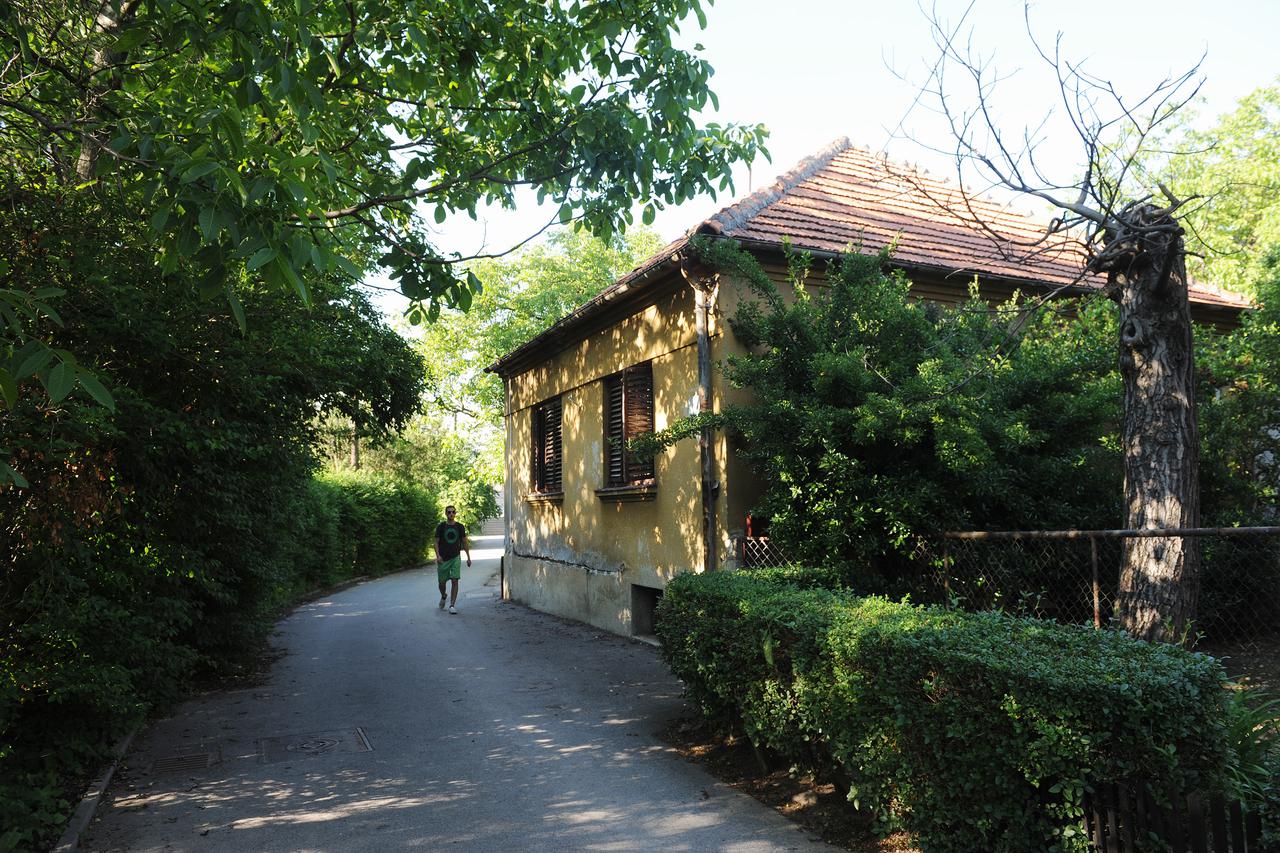 Zagreb: Staro Trnje, naselje bez plana, reda i interesa vlasti