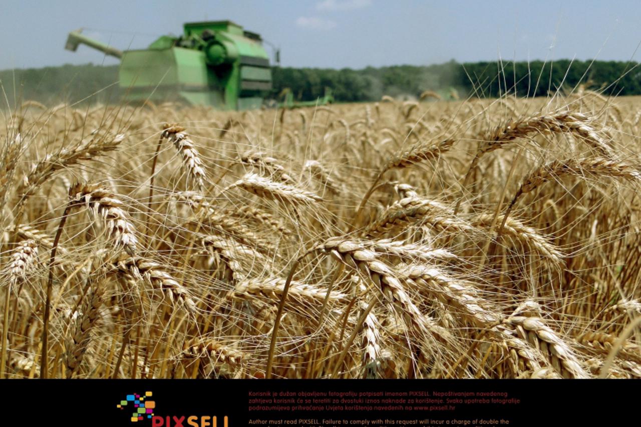 'zito_PXL_unu_040411'