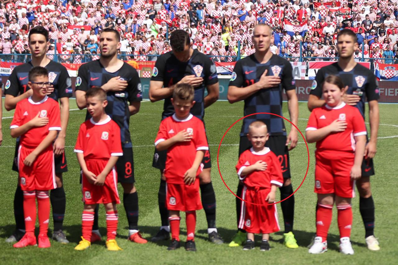 Domagoj i David Vida