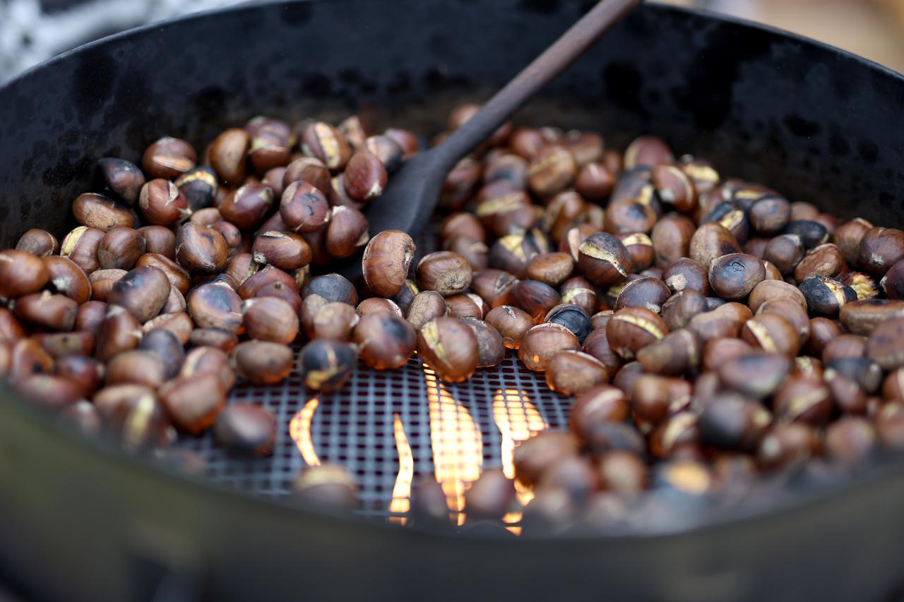 Zagreb: Počela dvodnevna manifestacija Kesteni i portugizac na Bundeku