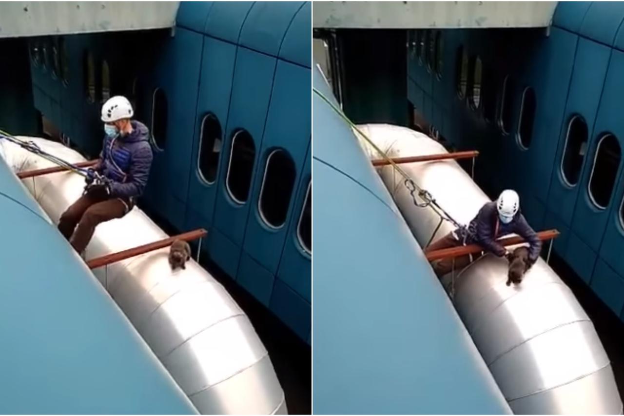 Spašavanje mačke u KB Dubrava