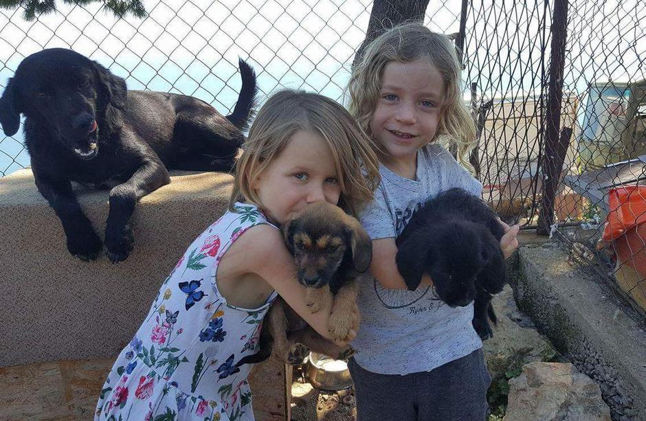 Eva Višnjić na Žarkovici